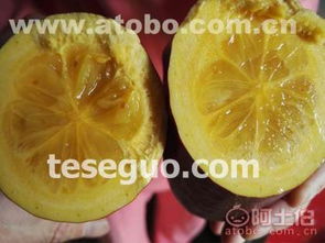 鄱阳县齐乐果蔬种植合作社 热卖促销中的优质水果选择