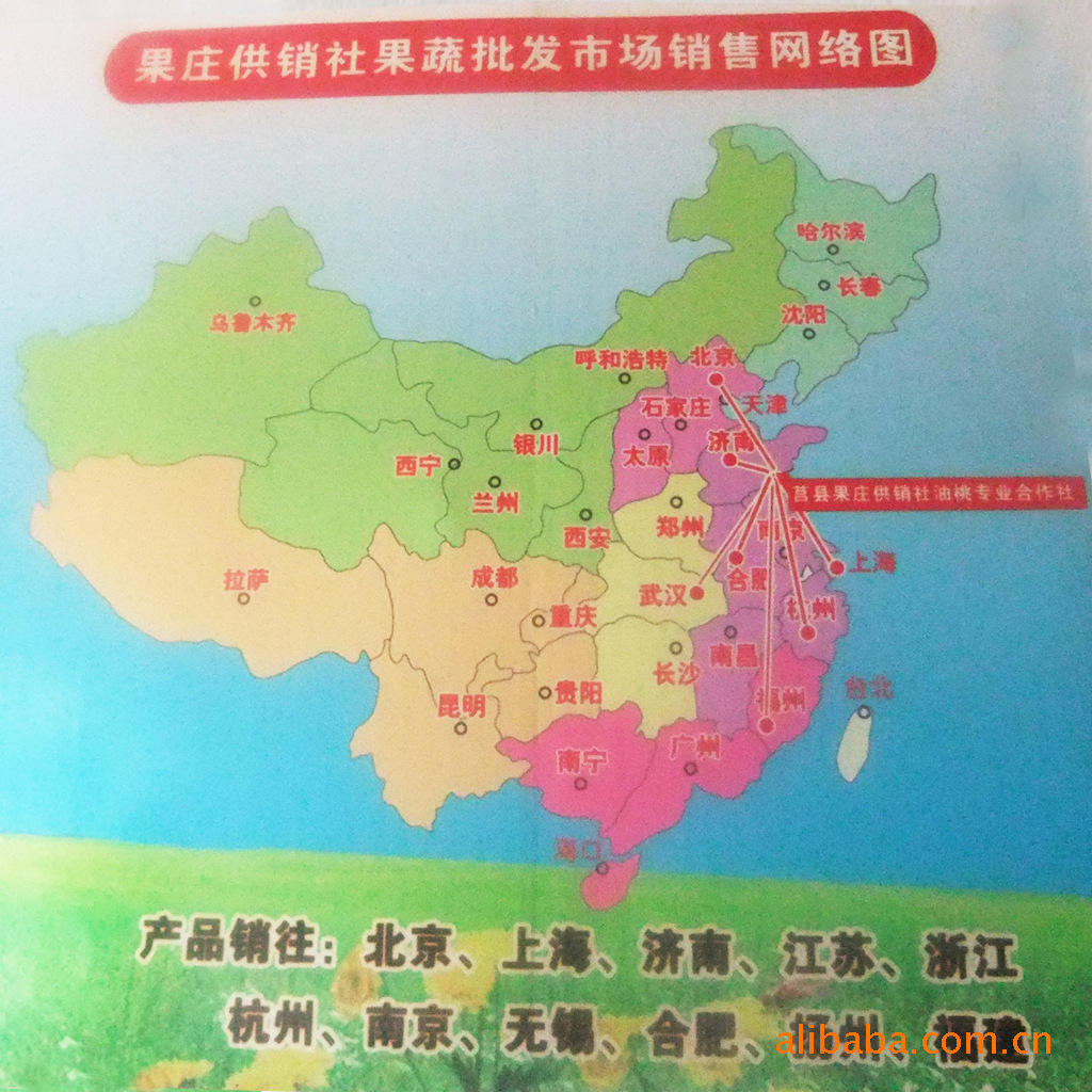 【生态蔬菜番茄 西红柿】价格,厂家,图片,其他蔬菜,莒县果庄供销合作社油桃专业社-