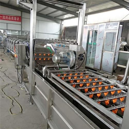 冲浴式大型洗菜机 果蔬气泡清洗机 厂家直销货源保障